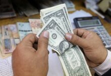 استقرار الدولار بمصر