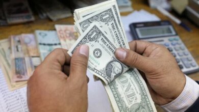 استقرار الدولار بمصر