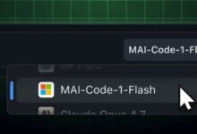 mai code 1 flash 1500x437