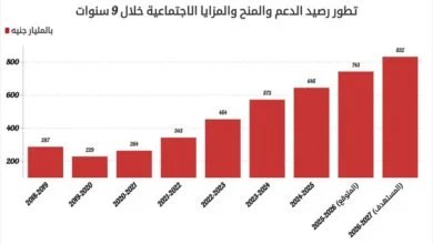 فاتورة الدعم في مصر