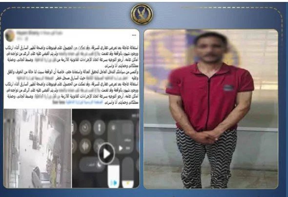 سقوط لص الأسلاك بالبحيرة