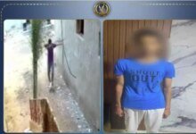 واقعة قطة كفر الشيخ