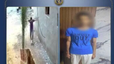 واقعة قطة كفر الشيخ