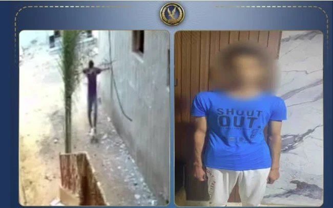 واقعة قطة كفر الشيخ