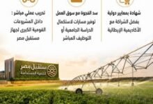 تحالف مصري إيطالي لغزو الصحراء بالتعليم التطبيقي في 2026 3 مدارس التكنولوجيا التطبيقية المصرية الإيطالية