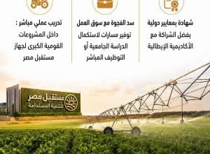 تحالف مصري إيطالي لغزو الصحراء بالتعليم التطبيقي في 2026 4 مدارس التكنولوجيا التطبيقية المصرية الإيطالية