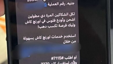 10 آلاف جنيه لـ "سراب الكيمياء".. تجارة تليجرام تبتز طلاب ثانوية عامة 2026 بوعود زائفة 4 حقيقة تسريب امتحان الكيمياء