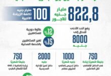 زيادة أجور موظفي مصر