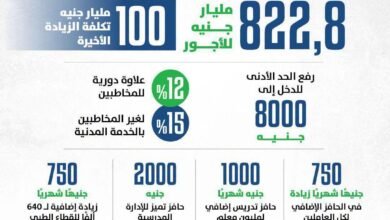 زيادة أجور موظفي مصر