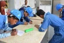 بدائل الثانوية العامة