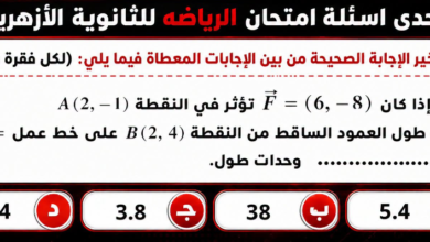 مزادات "شاومينج" ترفع تكلفة تسريبات الثانوية الأزهرية في مادة الرياضيات التطبيقية 4 تسريبات الرياضيات التطبيقية للأزهر