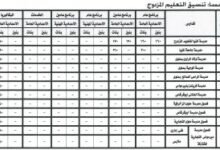تنسيق ثانوية المنيا 2026