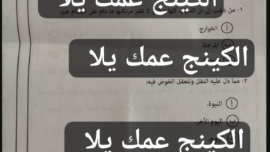 اختبار التوحيد بالأزهر على "تليجرام".. ملاحقة رقمية لـ "شاومينج" بعد نصف ساعة من البداية 4 تداول امتحان التوحيد