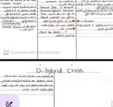 مراجعة فيزياء الثانوية