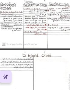 40 سؤالًا تحسم مصير طلاب الثانوية في "بعبع" الفيزياء 1 مراجعة الفيزياء النهائية
