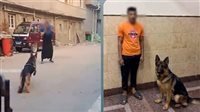توقيف مروّع سيدة دمنهور