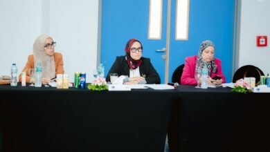 محددات الاستثمار الأجنبي المباشر