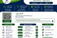 معسكر ابتكار جامعة المنصورة