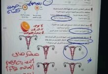 استعدادات امتحان الأحياء 2026