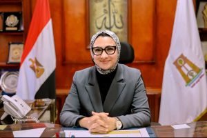 تنسيق فني الوادي الجديد