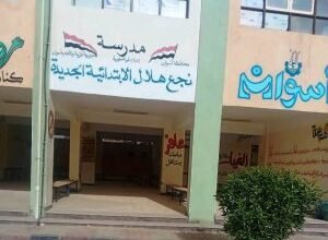 جودة التعليم تخترق مدارس الصعيد.. 17 مؤسسة في أسوان تنتزع الاعتماد الرسمي 4 اعتماد مدارس أسوان