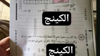 امتحانات الثانوية العامة 2026: حقيقة تسريب أسئلة الأحياء والإحصاء عبر تليجرام 4 حقيقة تسريب امتحانات الثانوية العامة