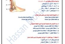 نموذج إجابة امتحان الأحياء