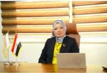 اختبارات التوجيه المهني بمصر