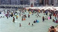 شواطئ الإسكندرية كاملة العدد