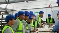 عمالة مصرية بمواصفات ألمانية.. القاهرة تبدأ خطة "تصدير الفنيين" إلى برلين 3 تطوير المدارس الفنية المصرية الألمانية
