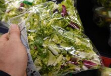 طفيلي السيكلوسبورا في الخضروات