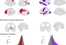 مخاطر التلفزيون على دماغ الرجال