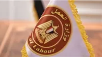 وظائف الضبعة النووية