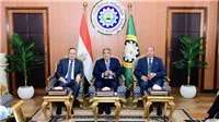 مهرجان المسرح بالمنصورة