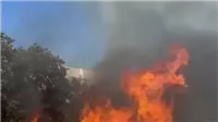 نيران تلتهم واجهة كامب في دهب وتفحم 4 سيارات.. ما علاقة جريد النخيل؟ 2 حريق كامب دهب