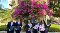 ابتكار حيوي لمكافحة عفن البطاطس