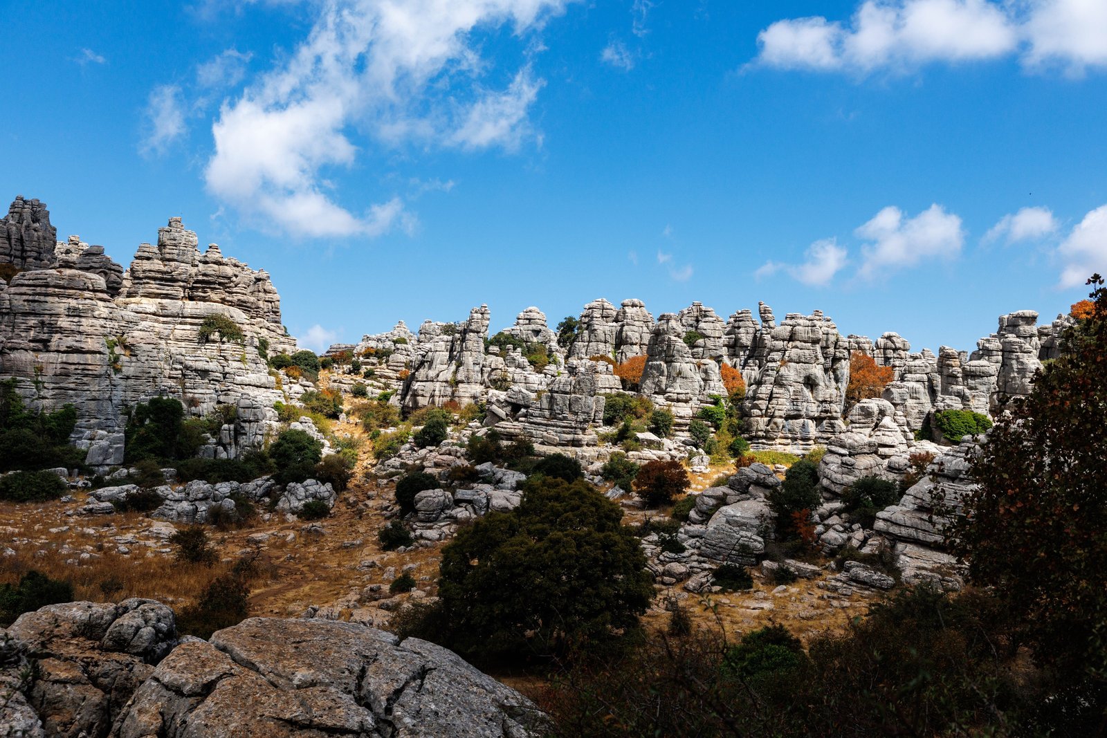 25 September 2025, Spain, Antequera: The 