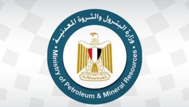 استثمارات الذهب في مصر
