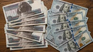 حاجز الخمسين جنيهاً.. استقرار "حذر" لسعر الدولار في المصارف المصرية 29 أسعار الدولار اليوم