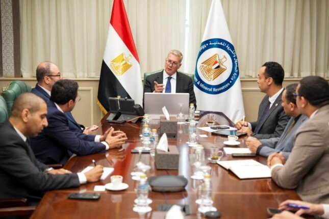 رقمنة قطاع البترول المصري
