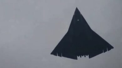 مقاتلة الصين عديمة الذيل