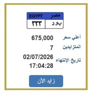 مزاد لوحة ب و د 33