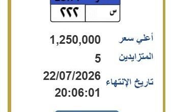 مزاد لوحة س 222