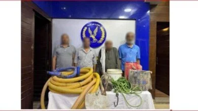 تنقيب آثار التبين