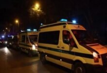 حادث سقوط شجرة بالمنوفية