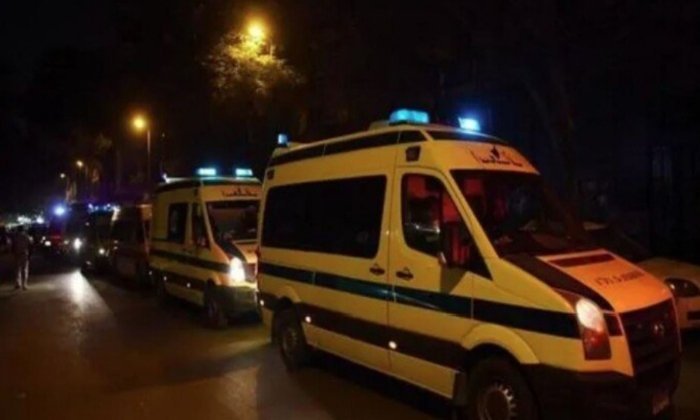 حادث سقوط شجرة بالمنوفية
