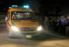 حادث بيارة شبين القناطر