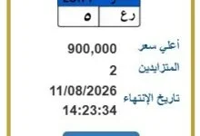 مزاد اللوحات المعدنية بمصر