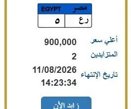 مزاد حكومي مصري يسجل 900 ألف جنيه للوحة سيارة تحمل حرفين ورقمًا واحدًا 28 مزاد اللوحات المعدنية بمصر