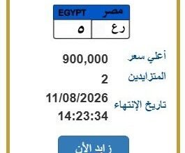 مزاد اللوحات المعدنية بمصر